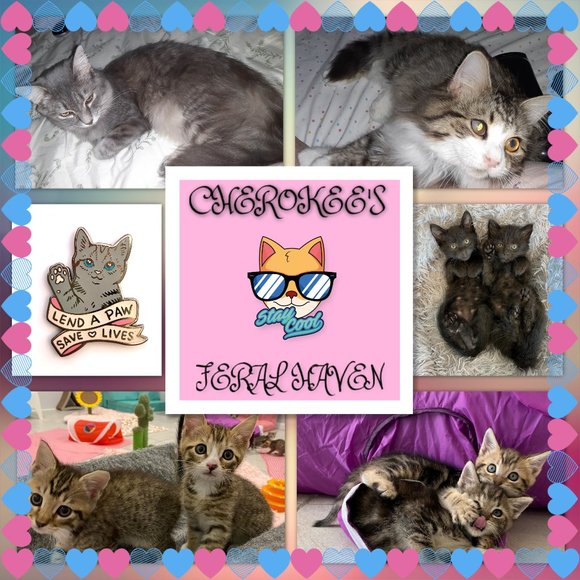 SZ 12 HUGE!!!!! Dragon Ring MENS - Picture 4 of 7